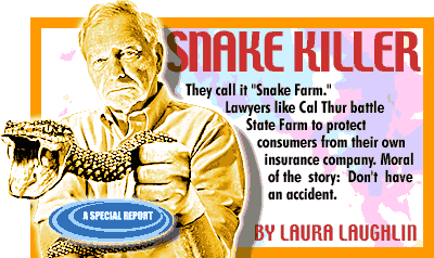 State Farm: Snake Killer